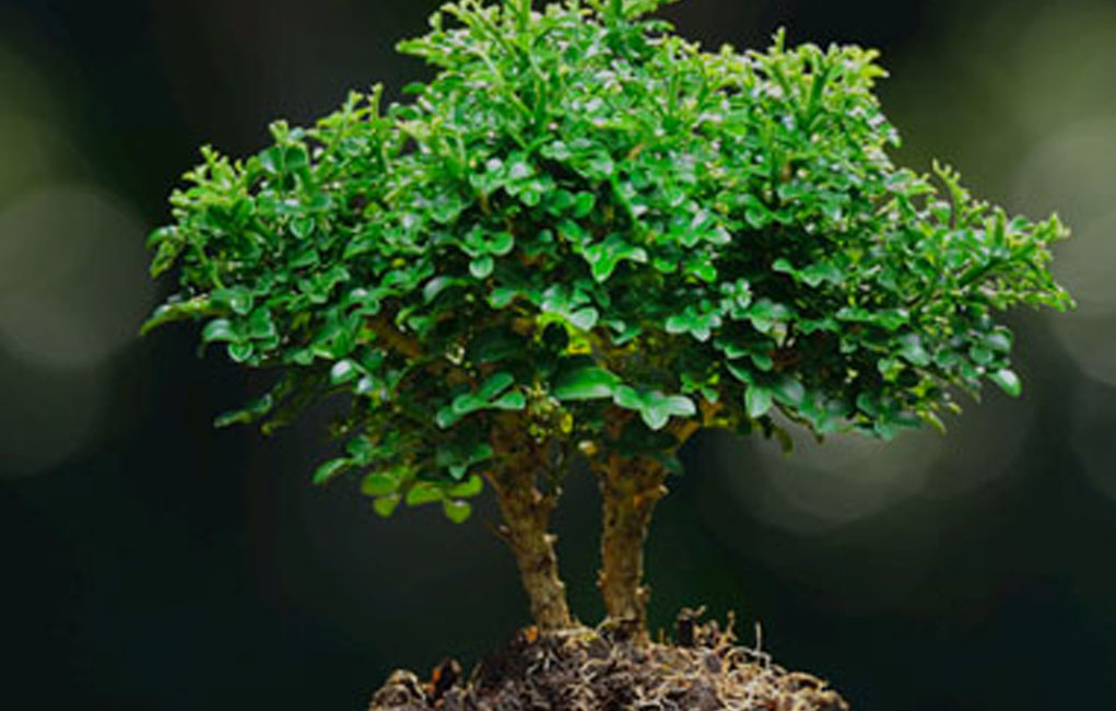 24ffd7fc005844373e0531cc2847903a98a8666e